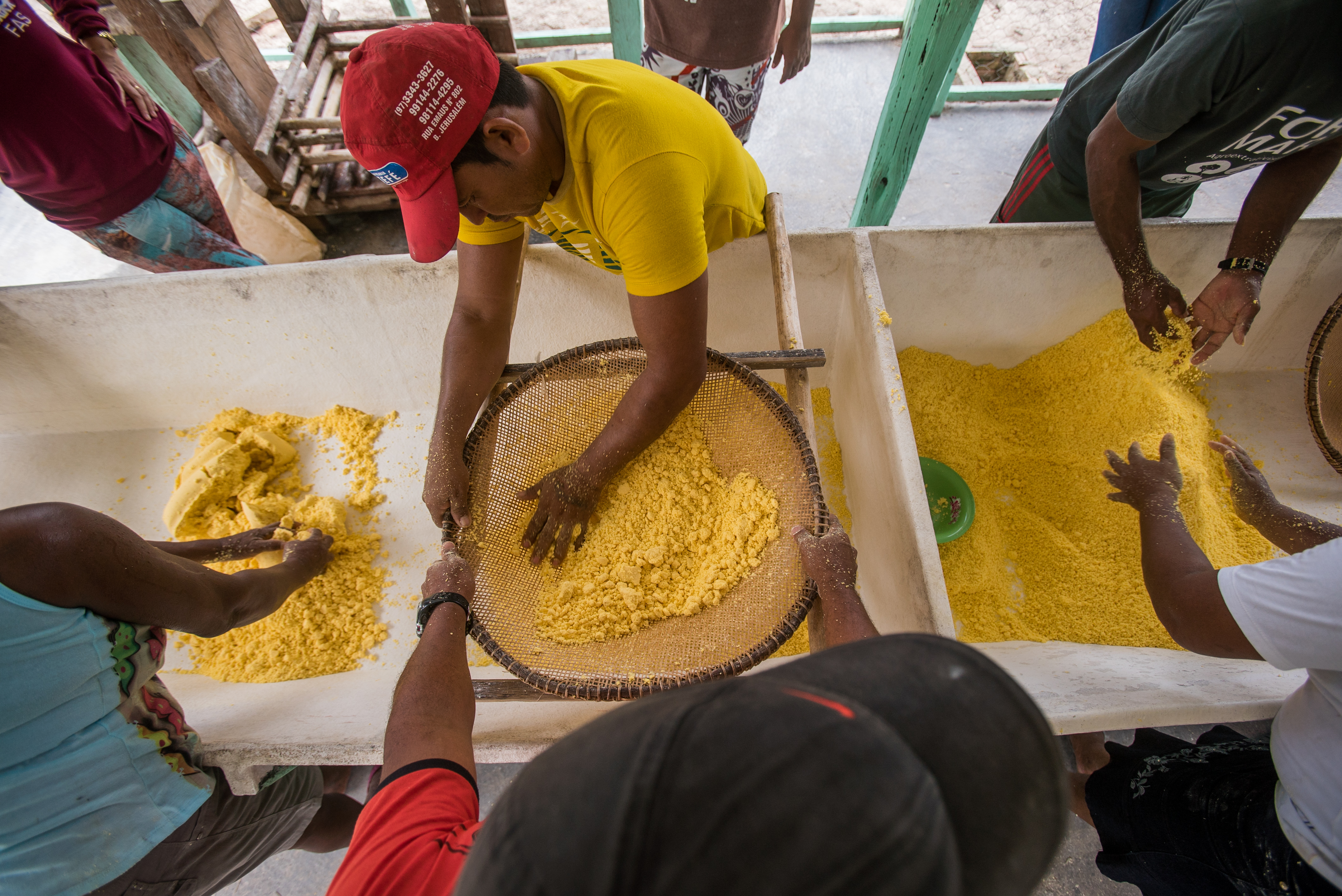 Mais de 1,5 mil famílias produtoras têm aumento de renda com apoio do Edital Floresta em Pé