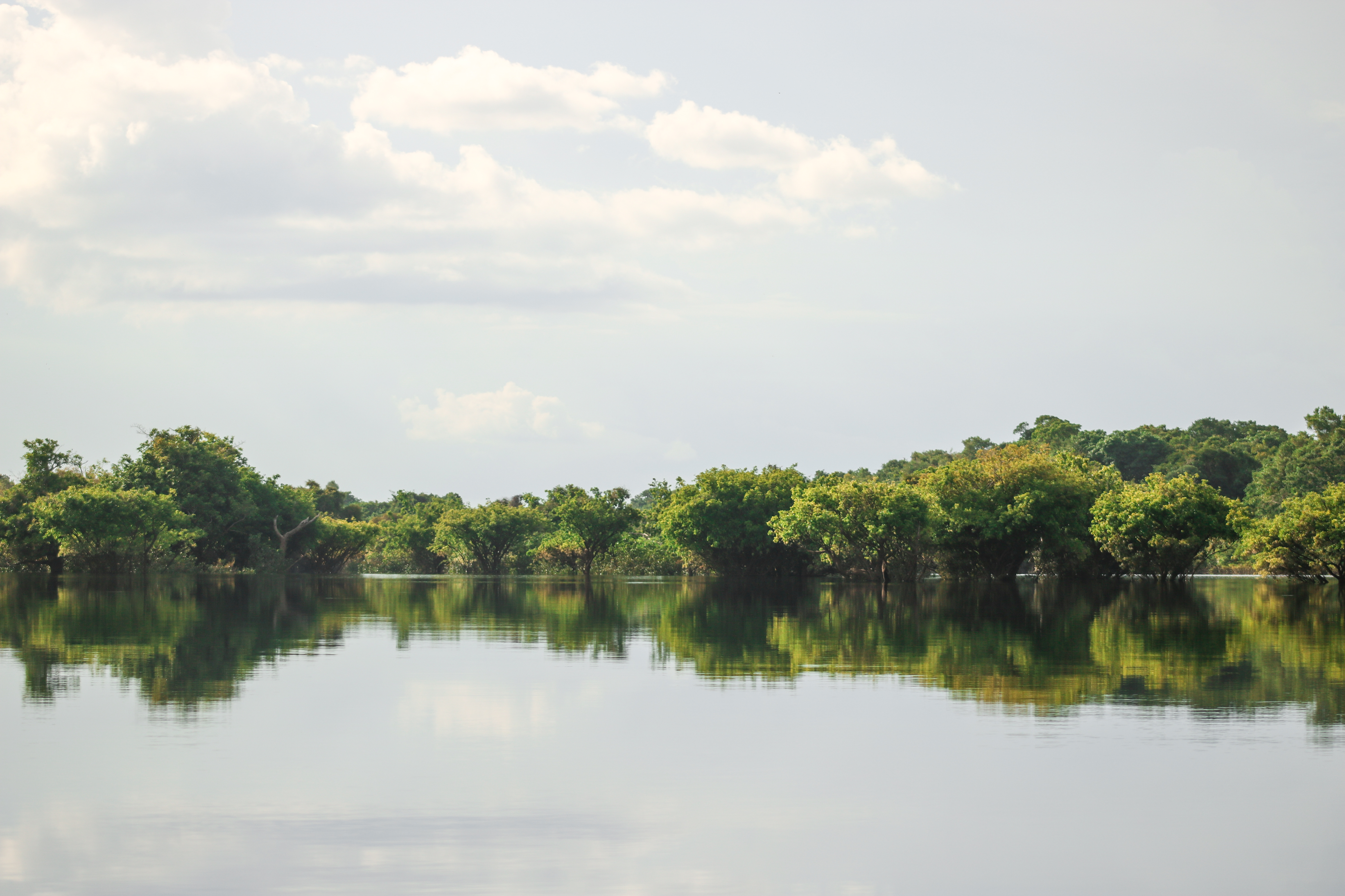 Embaixador da Noruega visita comunidades apoiadas pelo Fundo Amazônia no Rio Negro